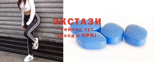 трава Гусиноозёрск