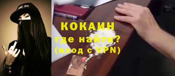 трава Гусиноозёрск