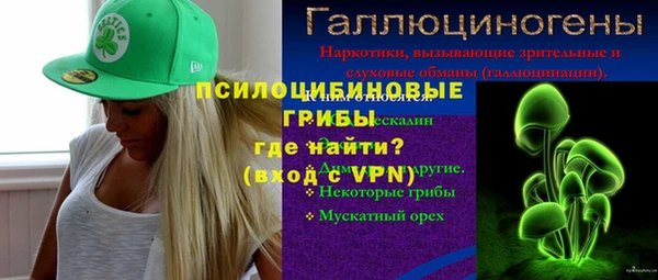 герыч Гусь-Хрустальный