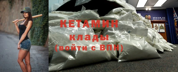 трава Гусиноозёрск