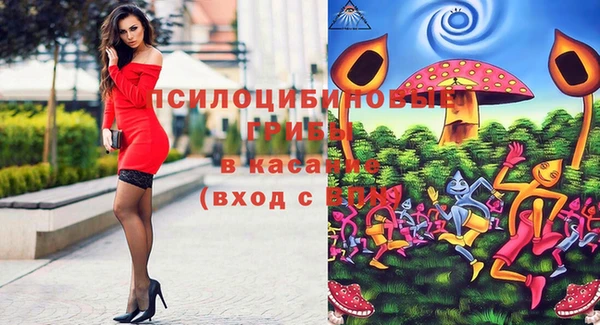 герыч Гусь-Хрустальный
